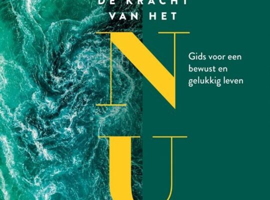 De Kracht Van Het NU