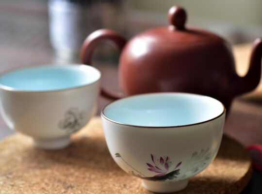 traditionele Chinese geneeskunde (TCM)