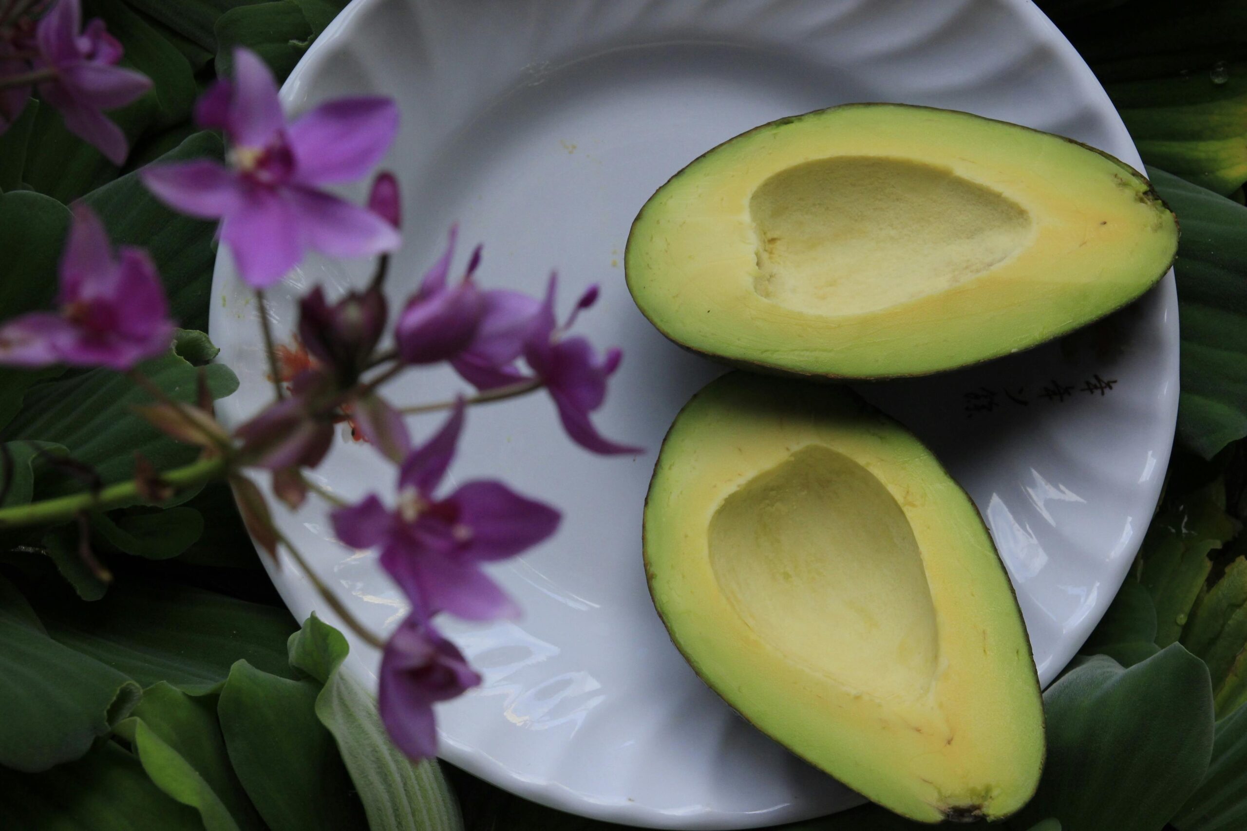 Natuurvoeding